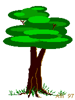 NATUALEZA